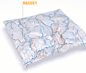 3d view of Maguey