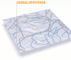 3d view of Guadalupe Pineda