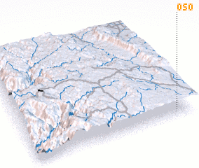 3d view of Oso