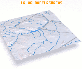 3d view of La Laguna de las Vacas