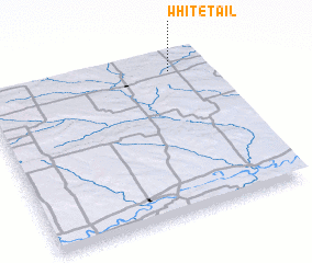 3d view of Whitetail