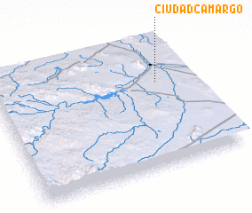 3d view of Ciudad Camargo