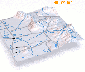 3d view of Muleshoe