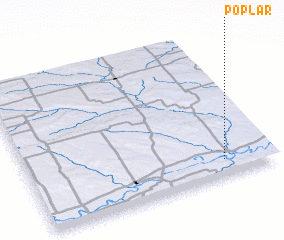 3d view of Poplar