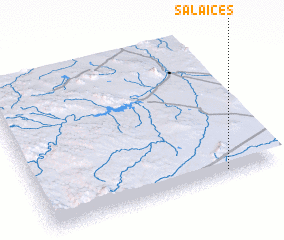 3d view of Salaices