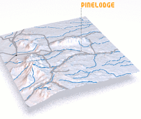 3d view of Pine Lodge