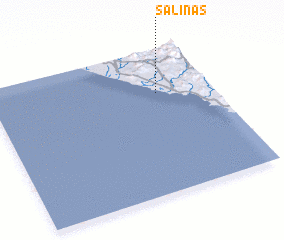 3d view of Salinas