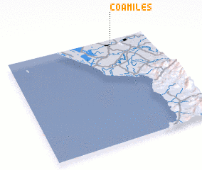 3d view of Coamiles