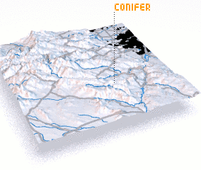 3d view of Conifer