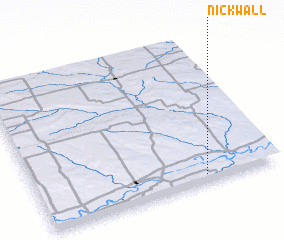 3d view of Nickwall