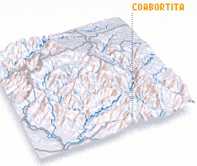 3d view of Coabortita