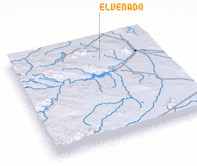 3d view of El Venado