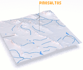 3d view of Pinos Altos