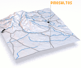 3d view of Pinos Altos