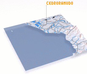 3d view of Cedro Ramudo
