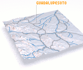 3d view of Guadalupe Soto