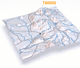 3d view of Twining