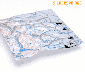3d view of Silver Springs