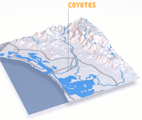 3d view of Coyotes