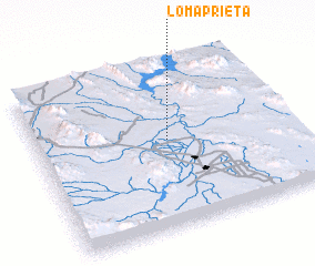 3d view of Loma Prieta