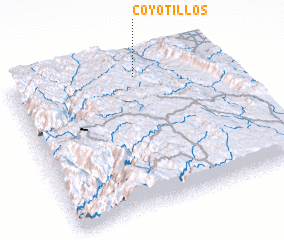 3d view of Coyotillos