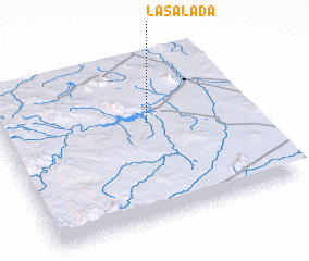 3d view of La Salada