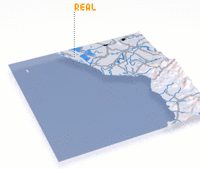 3d view of Real