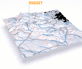 3d view of Nugget