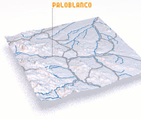 3d view of Palo Blanco