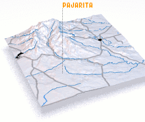 3d view of Pajarita