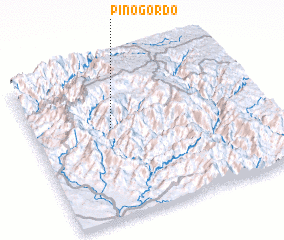 3d view of Pino Gordo