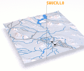 3d view of Saucillo