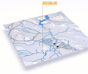 3d view of Aguaje