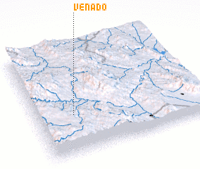 3d view of Venado