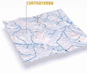 3d view of Contrayerba