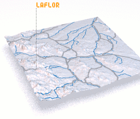 3d view of La Flor