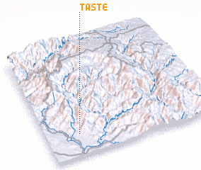 3d view of Taste