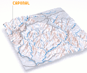 3d view of Caponal