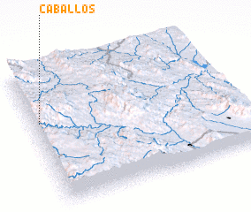 3d view of Caballos