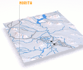 3d view of Morita