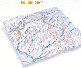 3d view of Palo Blanco