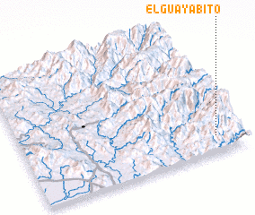 3d view of El Guayabito