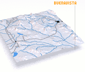 3d view of Buena Vista