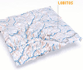 3d view of Lobitos