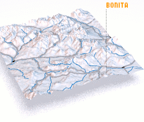 3d view of Bonita