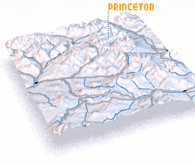 3d view of Princeton