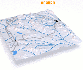 3d view of Ocampo