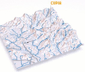3d view of Cupia