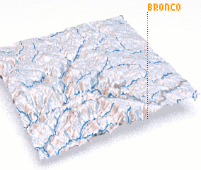 3d view of Bronco