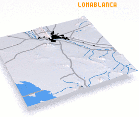 3d view of Loma Blanca